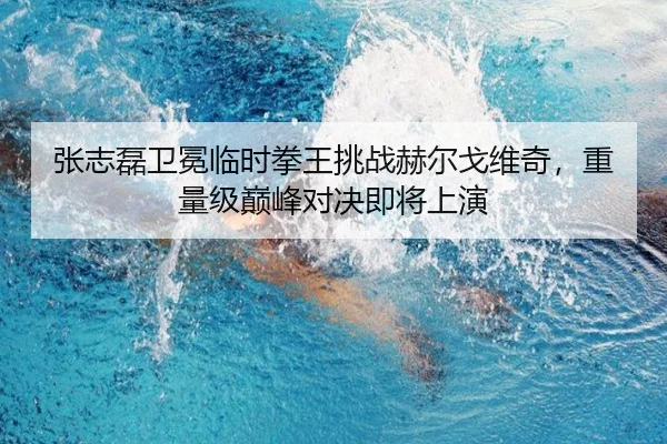 张志磊卫冕临时拳王挑战赫尔戈维奇，重量级巅峰对决即将上演